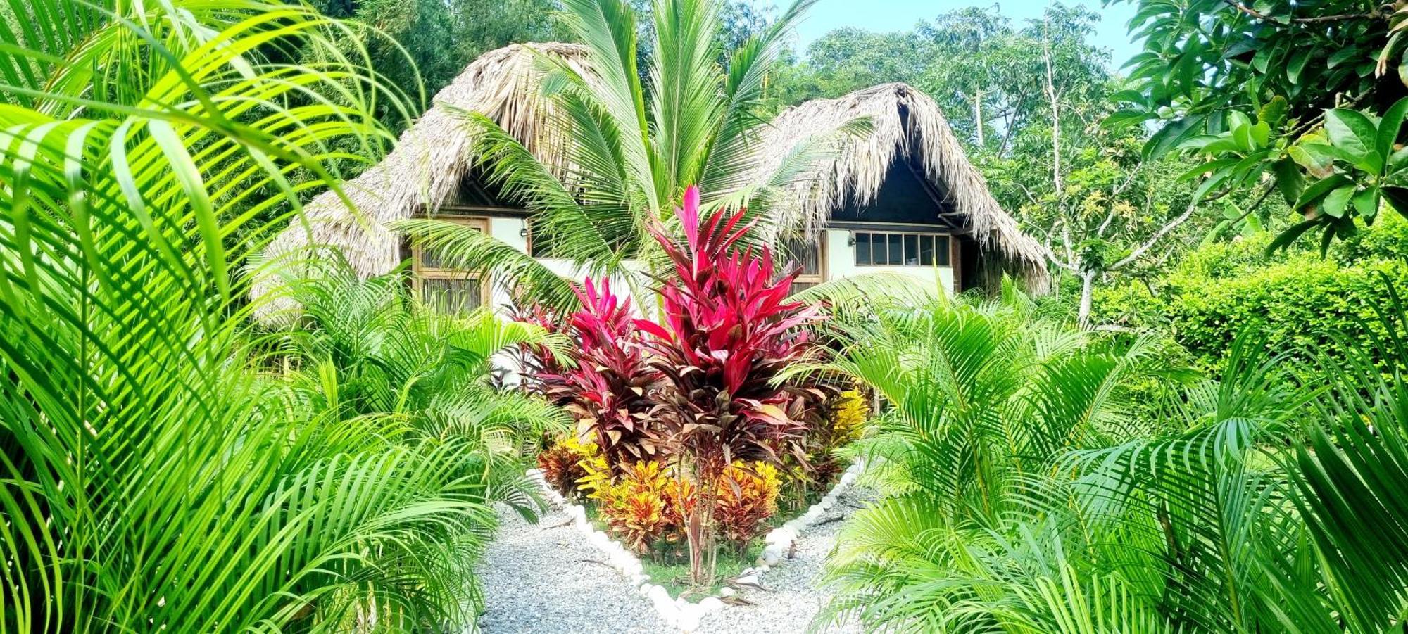 Encanto Hostel Guachaca المظهر الخارجي الصورة