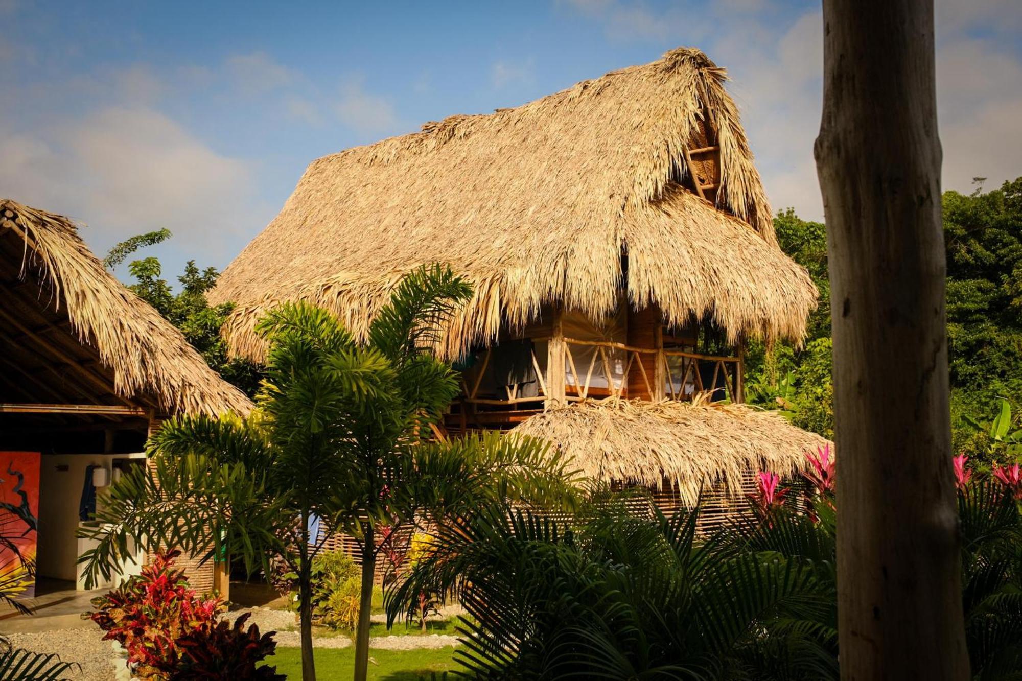 Encanto Hostel Guachaca المظهر الخارجي الصورة